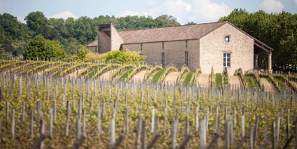 Chateau Cap de Faugeres Castillon Cote Bordeaux copyright studio pomelo
